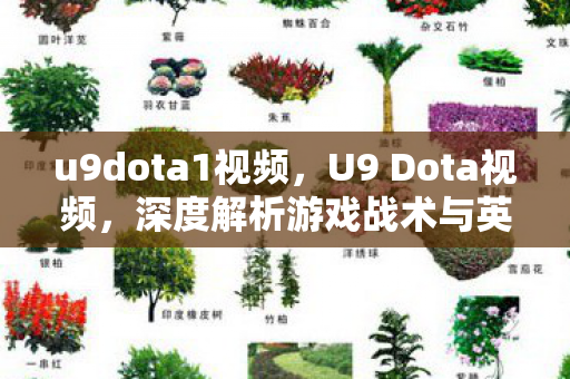 u9dota1视频,U9 Dota视频,深度解析游戏战术与英雄技能 u9dota1视频,U9 Dota视频,深度解析游戏战术与英雄技能