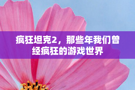 疯狂坦克2,那些年我们曾经疯狂的游戏世界 疯狂坦克2,那些年我们曾经疯狂的游戏世界