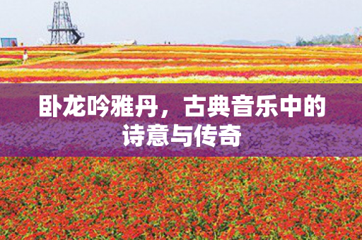卧龙吟雅丹,古典音乐中的诗意与传奇 卧龙吟雅丹,古典音乐中的诗意与传奇