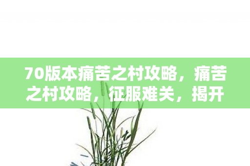 70版本痛苦之村攻略,痛苦之村攻略,征服难关,揭开隐藏的秘密 70版本痛苦之村攻略,痛苦之村攻略,征服难关,揭开隐藏的秘密