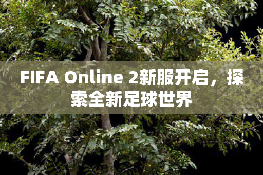 FIFA Online 2新服开启,探索全新足球世界 FIFA Online 2新服开启,探索全新足球世界