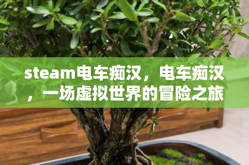 steam电车痴汉,电车痴汉,一场虚拟世界的冒险之旅 steam电车痴汉,电车痴汉,一场虚拟世界的冒险之旅