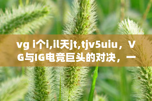 vg i个i,il天jt,tjv5uiu，VG与IG电竞巨头的对决，一场精彩绝伦的电竞盛宴
