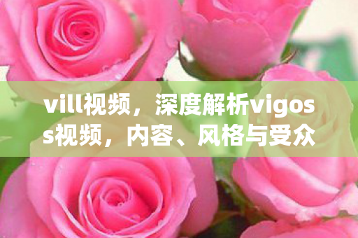 vill视频，深度解析vigoss视频，内容、风格与受众群体
