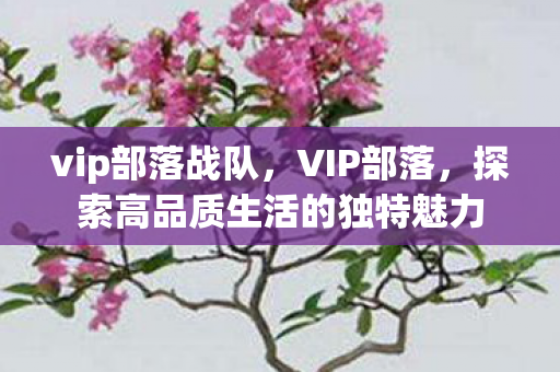 vip部落战队,VIP部落,探索高品质生活的独特魅力 vip部落战队,VIP部落,探索高品质生活的独特魅力