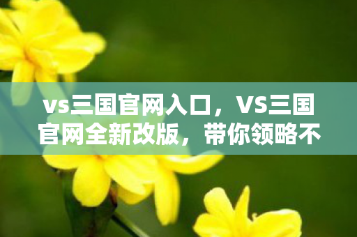 vs三国官网入口，VS三国官网全新改版，带你领略不一样的三国世界！