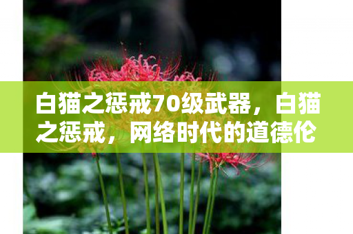 白猫之惩戒70级武器，白猫之惩戒，网络时代的道德伦理与责任担当
