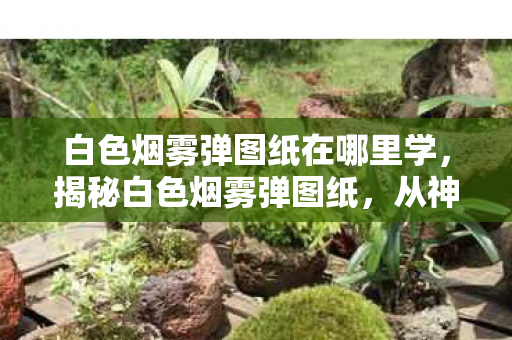 白色烟雾弹图纸在哪里学,揭秘白色烟雾弹图纸,从神秘面纱到技术解析 白色烟雾弹图纸在哪里学,揭秘白色烟雾弹图纸,从神秘面纱到技术解析