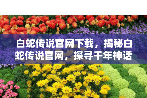 白蛇传说官网下载，揭秘白蛇传说官网，探寻千年神话的奇幻之旅