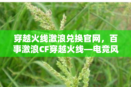 穿越火线激浪兑换官网，百事激浪CF穿越火线—电竞风潮下的热血战场