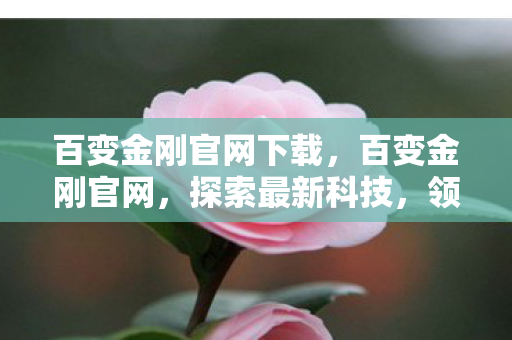 百变金刚官网下载,百变金刚官网,探索最新科技,领略机械魅力 百变金刚官网下载,百变金刚官网,探索最新科技,领略机械魅力