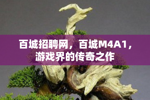 百城招聘网，百城M4A1，游戏界的传奇之作