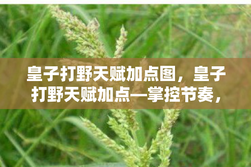皇子打野天赋加点图,皇子打野天赋加点—掌控节奏,成为战场主宰 皇子打野天赋加点图,皇子打野天赋加点—掌控节奏,成为战场主宰