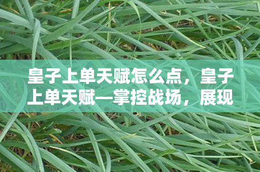 皇子上单天赋怎么点，皇子上单天赋—掌控战场，展现王者风范