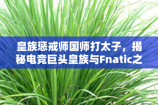 皇族惩戒师国师打太子,揭秘电竞巨头皇族与Fnatic之间的恩怨情仇 皇族惩戒师国师打太子,揭秘电竞巨头皇族与Fnatic之间的恩怨情仇
