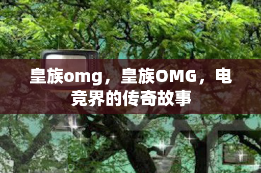 皇族omg，皇族OMG，电竞界的传奇故事