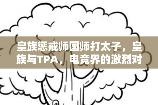 皇族惩戒师国师打太子，皇族与TPA，电竞界的激烈对决
