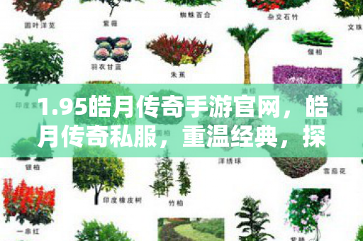 1.95皓月传奇手游官网,皓月传奇私服,重温经典,探索未知的游戏世界 1.95皓月传奇手游官网,皓月传奇私服,重温经典,探索未知的游戏世界