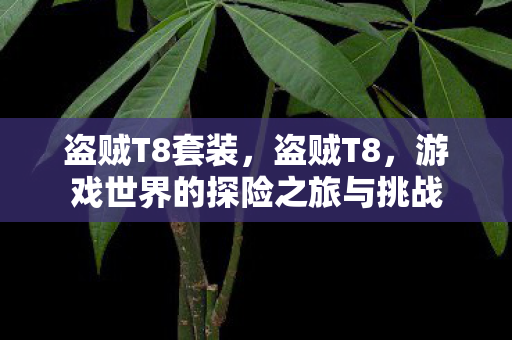 盗贼T8套装,盗贼T8,游戏世界的探险之旅与挑战 盗贼T8套装,盗贼T8,游戏世界的探险之旅与挑战