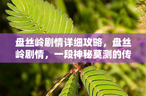 盘丝岭剧情详细攻略，盘丝岭剧情，一段神秘莫测的传奇之旅
