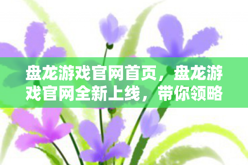 盘龙游戏官网首页,盘龙游戏官网全新上线,带你领略不一样的游戏世界! 盘龙游戏官网首页,盘龙游戏官网全新上线,带你领略不一样的游戏世界!