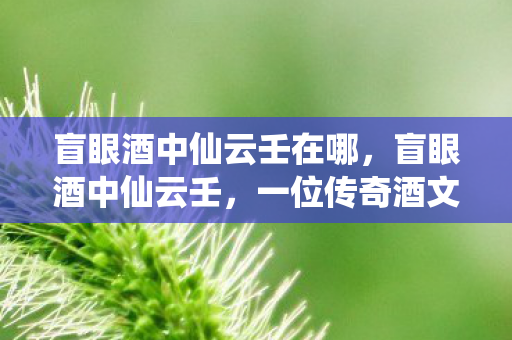 盲眼酒中仙云壬在哪,盲眼酒中仙云壬,一位传奇酒文化的探寻者 盲眼酒中仙云壬在哪,盲眼酒中仙云壬,一位传奇酒文化的探寻者
