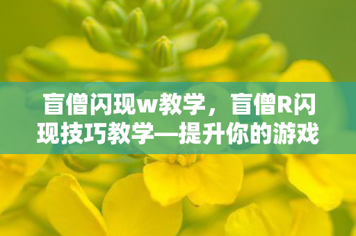 盲僧闪现w教学,盲僧R闪现技巧教学—提升你的游戏操作水平 盲僧闪现w教学,盲僧R闪现技巧教学—提升你的游戏操作水平