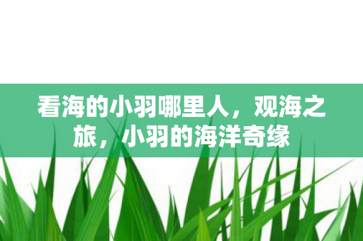 看海的小羽哪里人,观海之旅,小羽的海洋奇缘 看海的小羽哪里人,观海之旅,小羽的海洋奇缘