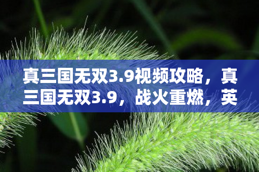 真三国无双3.9视频攻略,真三国无双3.9,战火重燃,英雄再现视频解析 真三国无双3.9视频攻略,真三国无双3.9,战火重燃,英雄再现视频解析