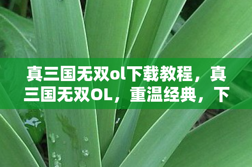 真三国无双ol下载教程,真三国无双OL,重温经典,下载攻略与游戏指南 真三国无双ol下载教程,真三国无双OL,重温经典,下载攻略与游戏指南