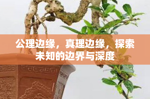 公理边缘,真理边缘,探索未知的边界与深度 公理边缘,真理边缘,探索未知的边界与深度