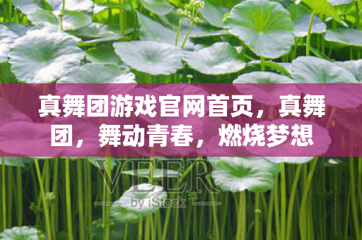 真舞团游戏官网首页,真舞团,舞动青春,燃烧梦想 真舞团游戏官网首页,真舞团,舞动青春,燃烧梦想