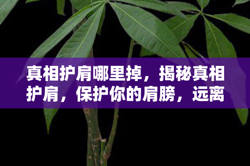 真相护肩哪里掉,揭秘真相护肩,保护你的肩膀,远离疼痛困扰 真相护肩哪里掉,揭秘真相护肩,保护你的肩膀,远离疼痛困扰