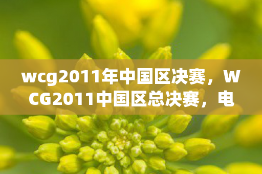 wcg2011年中国区决赛,WCG2011中国区总决赛,电竞巅峰之战的荣耀时刻 wcg2011年中国区决赛,WCG2011中国区总决赛,电竞巅峰之战的荣耀时刻
