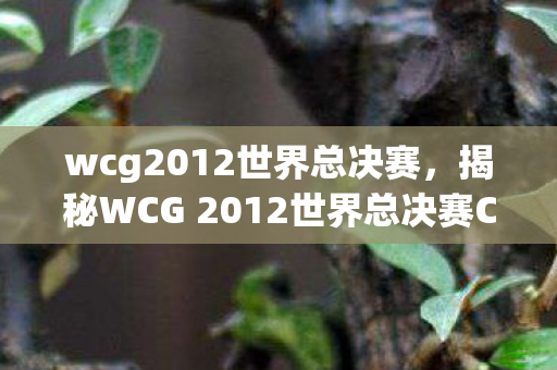 wcg2012世界总决赛,揭秘WCG 2012世界总决赛CF之战,荣耀与梦想的碰撞 wcg2012世界总决赛,揭秘WCG 2012世界总决赛CF之战,荣耀与梦想的碰撞
