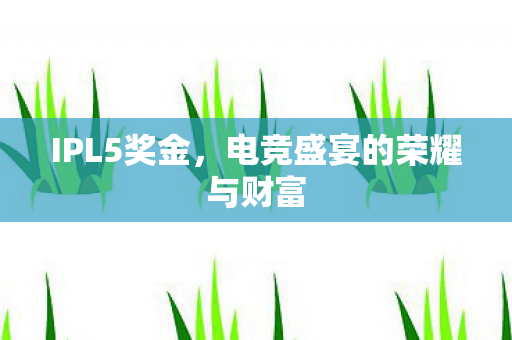 IPL5奖金,电竞盛宴的荣耀与财富 IPL5奖金,电竞盛宴的荣耀与财富