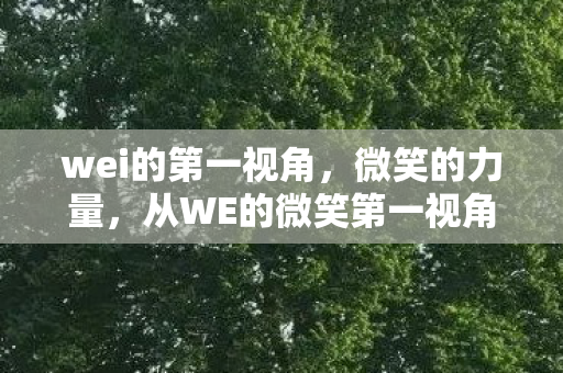 wei的第一视角,微笑的力量,从WE的微笑第一视角探索人生的积极态度 wei的第一视角,微笑的力量,从WE的微笑第一视角探索人生的积极态度
