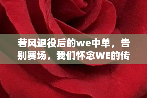 若风退役后的we中单，告别赛场，我们怀念WE的传奇人物—若风退役之路