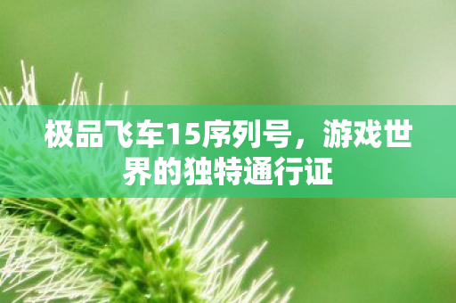 极品飞车15序列号,游戏世界的独特通行证 极品飞车15序列号,游戏世界的独特通行证