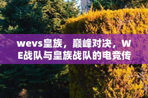 wevs皇族,巅峰对决,WE战队与皇族战队的电竞传奇 wevs皇族,巅峰对决,WE战队与皇族战队的电竞传奇