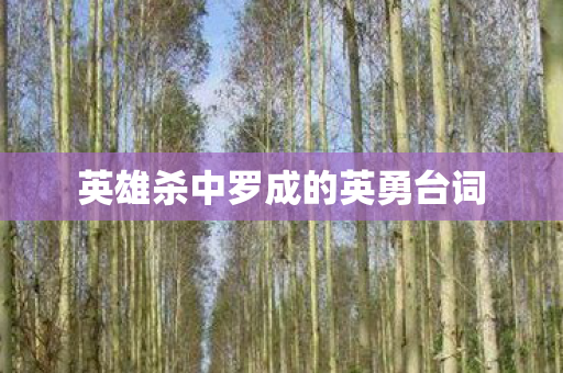 英雄杀中罗成的英勇台词 英雄杀中罗成的英勇台词