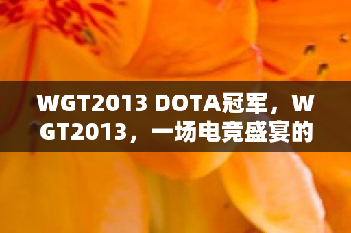 WGT2013 DOTA冠军,WGT2013,一场电竞盛宴的回顾与前瞻 WGT2013 DOTA冠军,WGT2013,一场电竞盛宴的回顾与前瞻