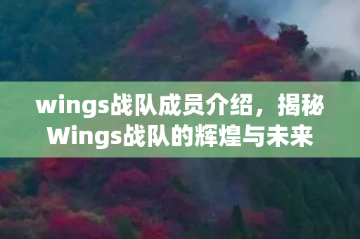wings战队成员介绍,揭秘Wings战队的辉煌与未来 wings战队成员介绍,揭秘Wings战队的辉煌与未来