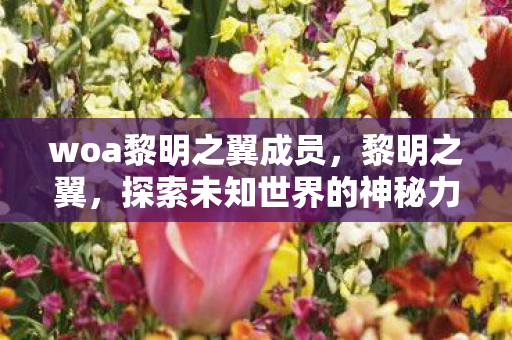 woa黎明之翼成员,黎明之翼,探索未知世界的神秘力量 woa黎明之翼成员,黎明之翼,探索未知世界的神秘力量