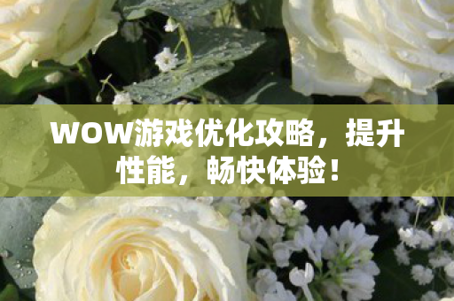 WOW游戏优化攻略,提升性能,畅快体验! WOW游戏优化攻略,提升性能,畅快体验!