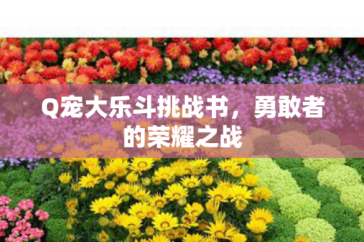 Q宠大乐斗挑战书,勇敢者的荣耀之战 Q宠大乐斗挑战书,勇敢者的荣耀之战