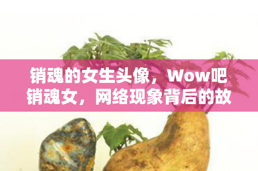 销魂的女生头像,Wow吧销魂女,网络现象背后的故事 销魂的女生头像,Wow吧销魂女,网络现象背后的故事