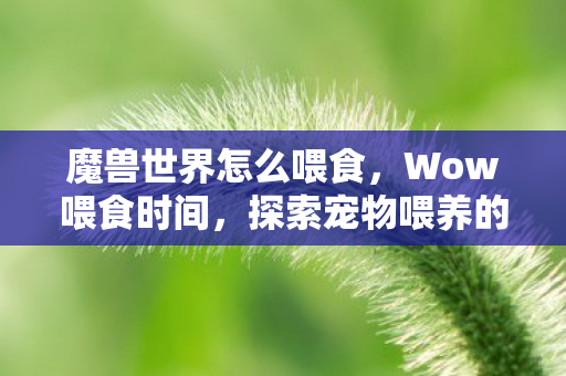 魔兽世界怎么喂食,Wow喂食时间,探索宠物喂养的艺术与科学 魔兽世界怎么喂食,Wow喂食时间,探索宠物喂养的艺术与科学