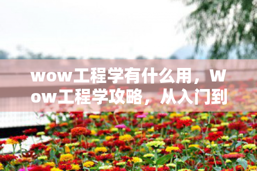 wow工程学有什么用，Wow工程学攻略，从入门到精通的全面指南