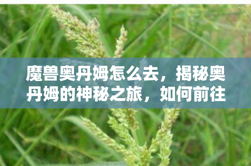 魔兽奥丹姆怎么去,揭秘奥丹姆的神秘之旅,如何前往这片古老之地? 魔兽奥丹姆怎么去,揭秘奥丹姆的神秘之旅,如何前往这片古老之地?